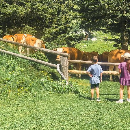 Velika Planina - Chalet Stane - Alps Stahovica Esterno foto