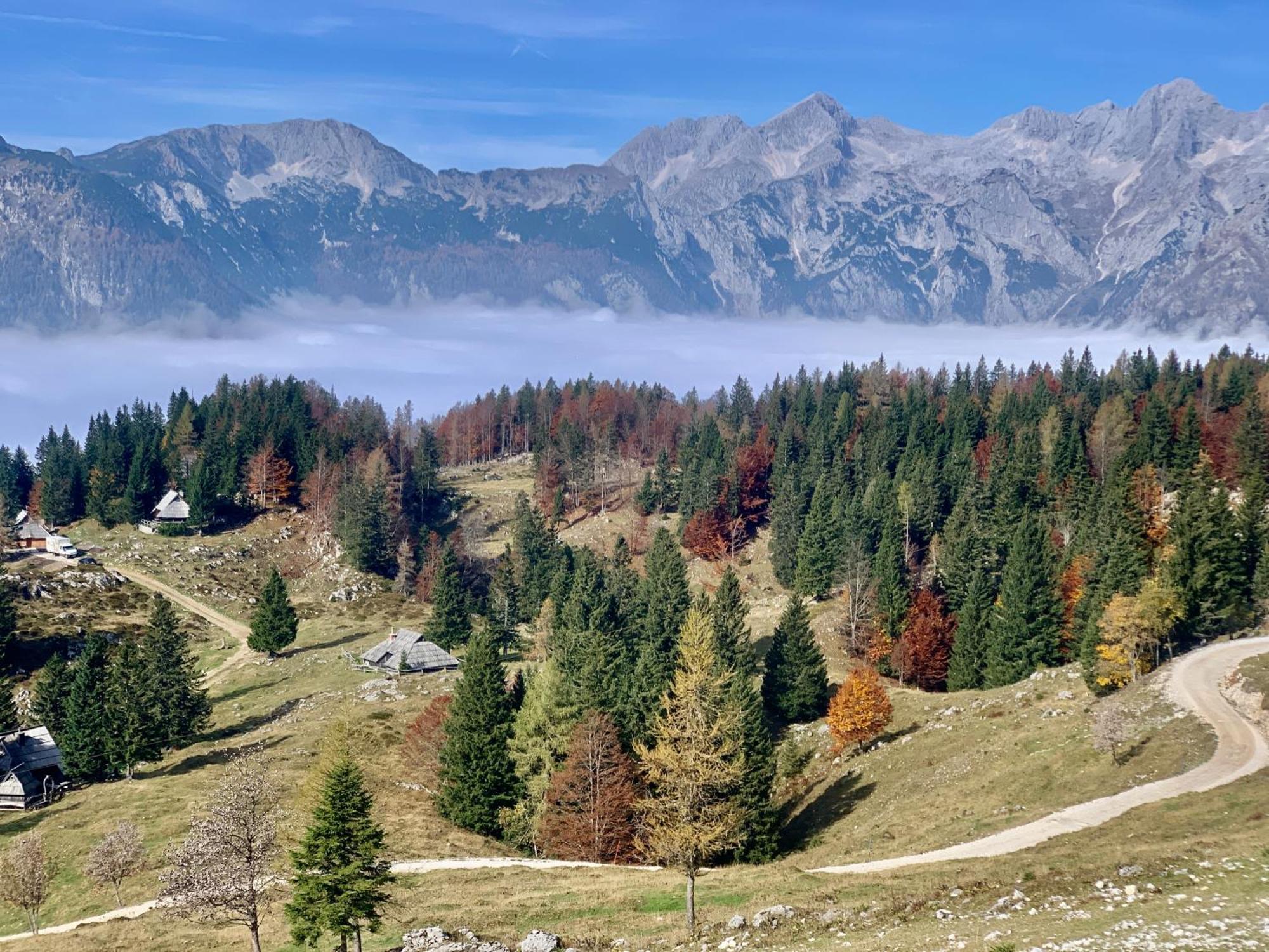 Velika Planina - Chalet Stane - Alps Stahovica Esterno foto