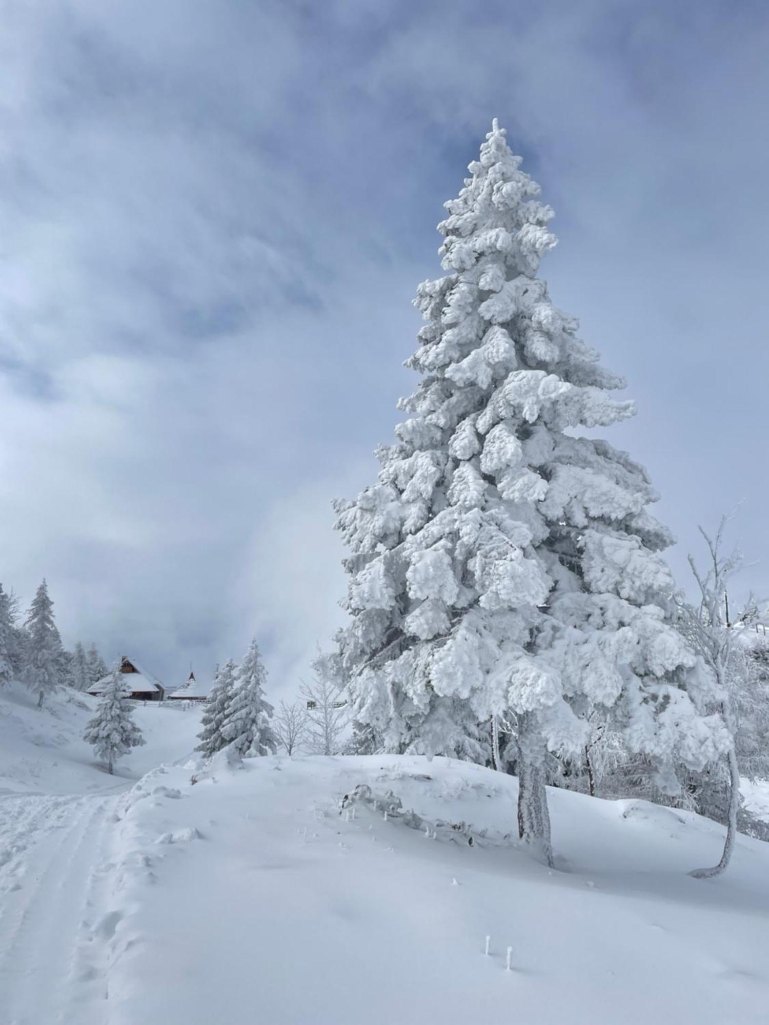 Velika Planina - Chalet Stane - Alps Stahovica Esterno foto
